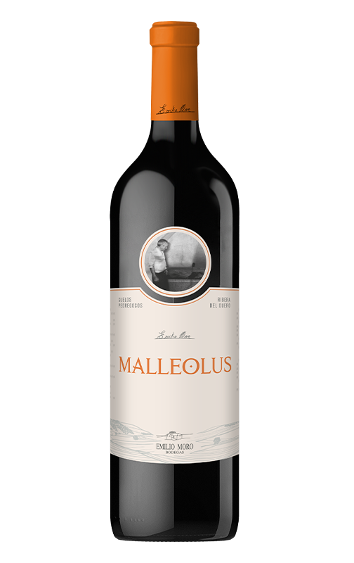 Vino Tinto Malleolus 75cl