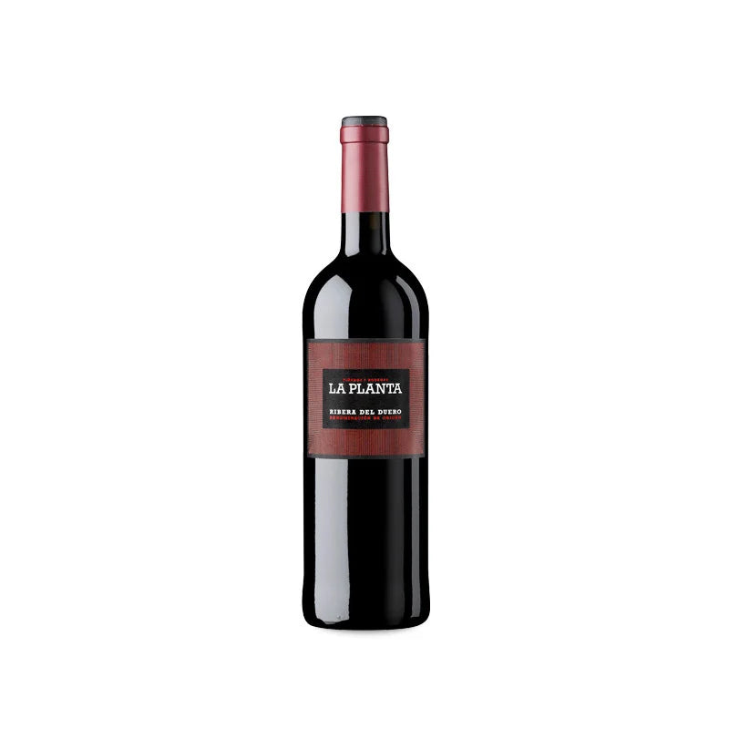 Vino Tinto la Planta